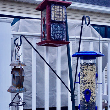 Winter has arrived!
Time to get out the wild bird feeders !