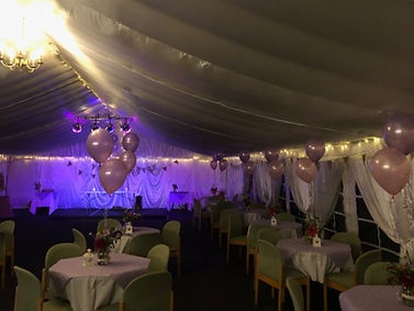 pink%20marquee%20party%20night_edited.jp