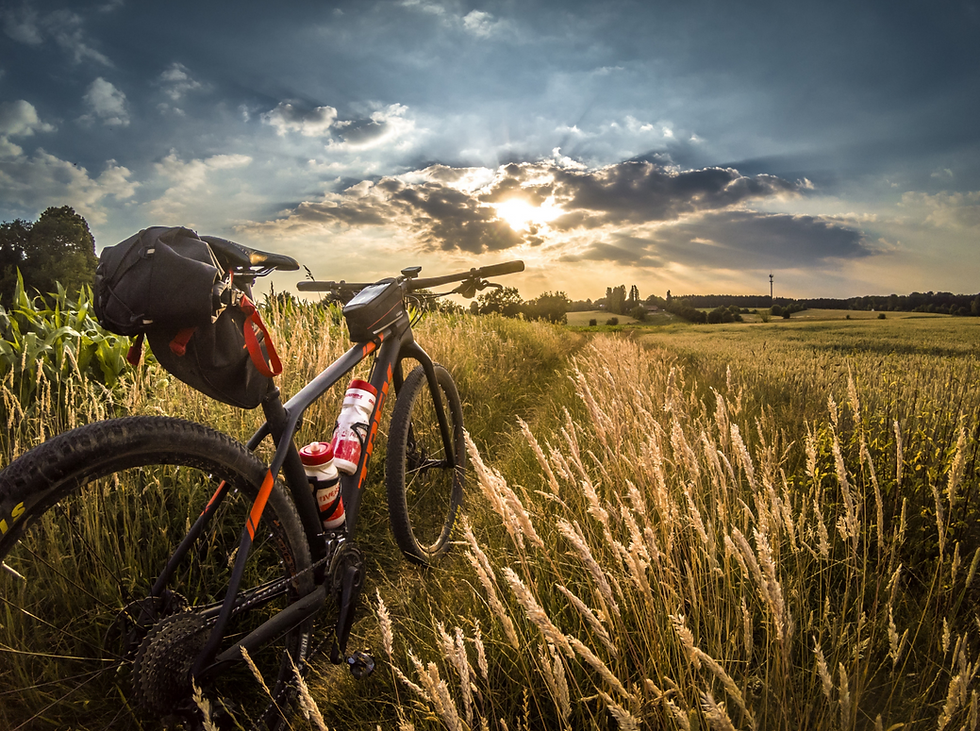 Route -1 Bike im Feld_edited.png