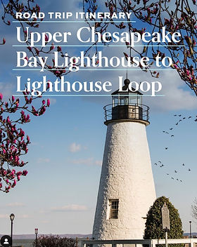 Screen Shot 2021-08-01 at 8.05_edited.jp