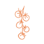 coastal red-43.png