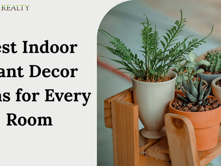 Best Indoor Plant Decor Ideas for Every Room: Stylish Greenery for Every Space