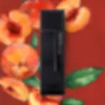 profumo fragranza ARMY OF LOVER - Laurent Mazzone perfumum ravenna