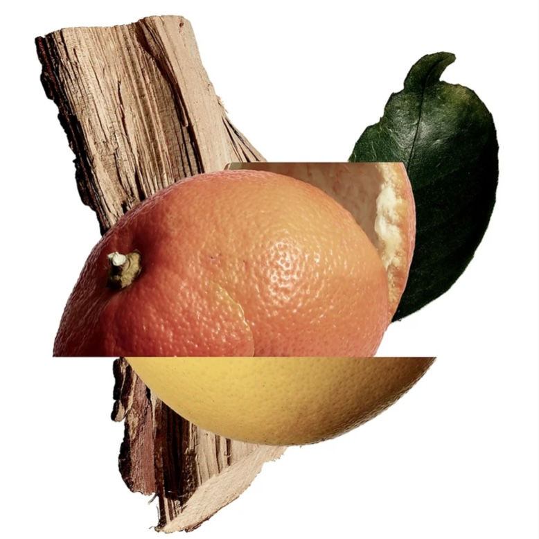 Thumbnail: immagine AKIGALA MANDARINO - New Note