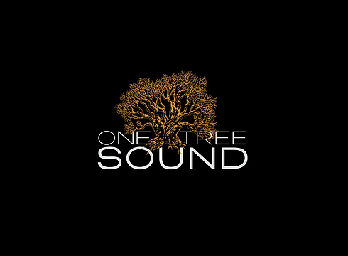 OTS-logo-HOME.png