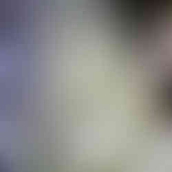 table decor, florals Fresh flower society. Arenlace