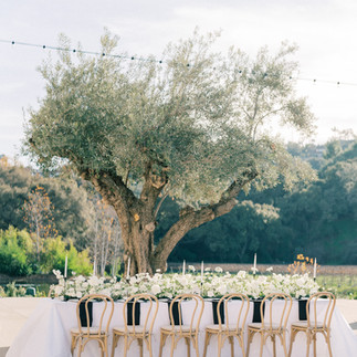 Camila Margotta Tuscan lawn Monserate winery , Arenlace events