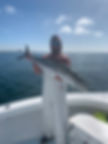E6D781B0-9BC9-4263-B848-97AC6C2CCB7B.jpeg