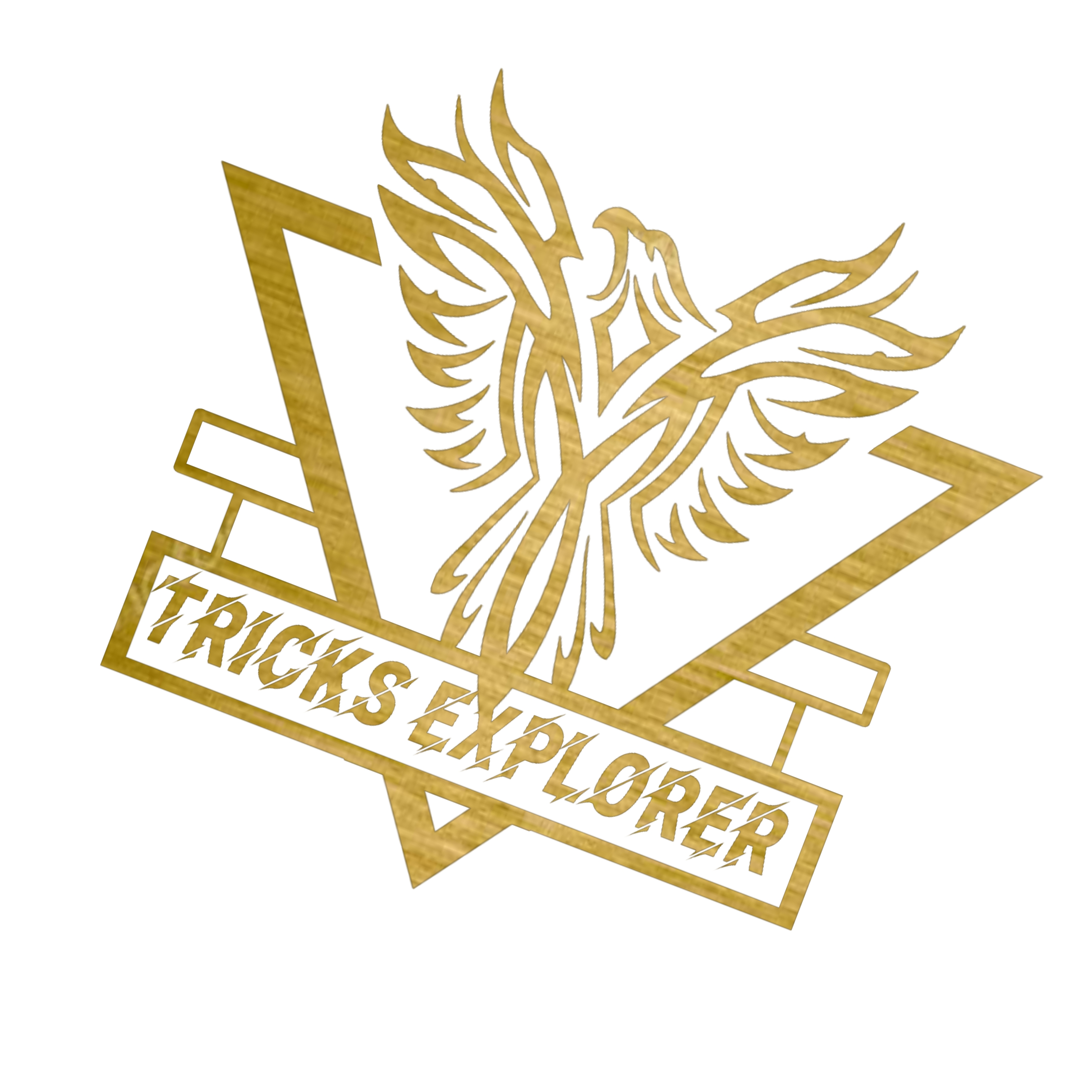Writer: Tricks explorer