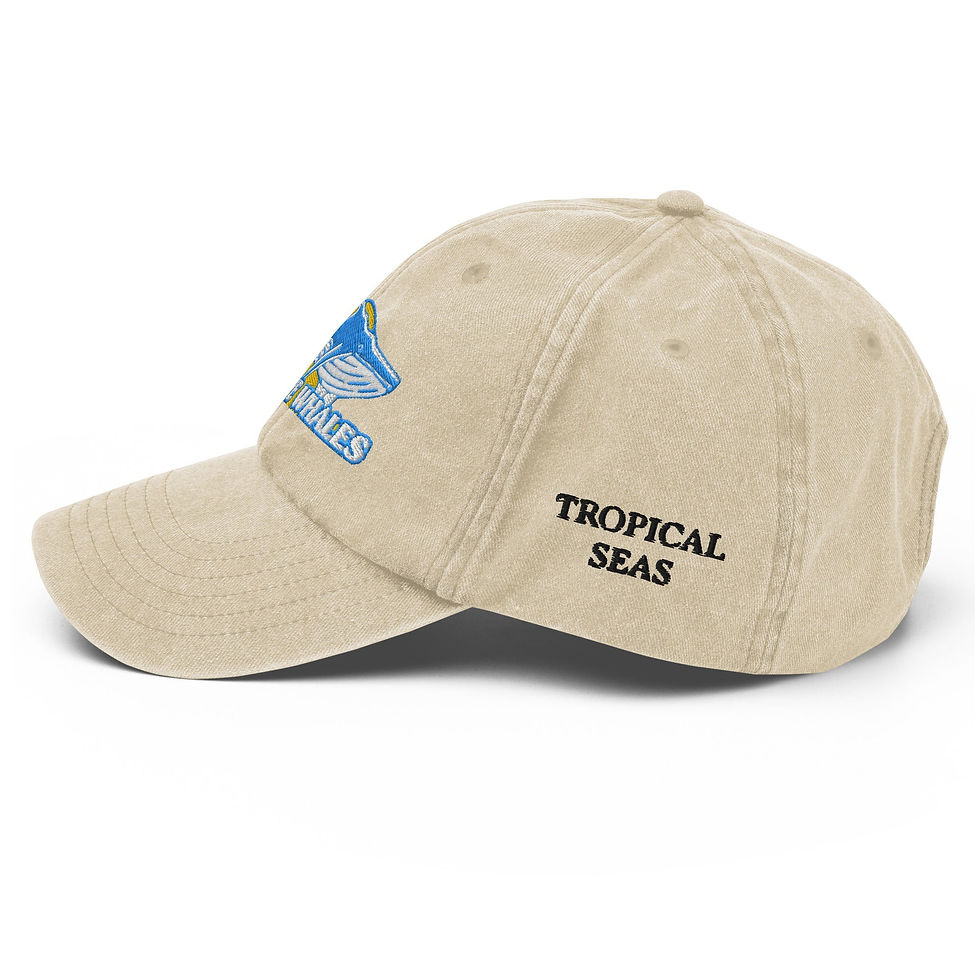 Miniatura: Vintage Save the Whales Hat