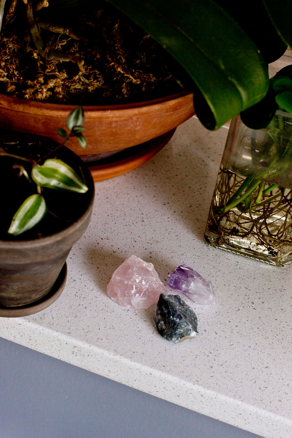 Thumbnail: Plant Crystal Set