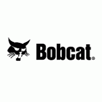 bobcat