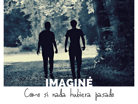 5. Imaginé