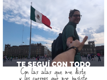 Te seguí con todo