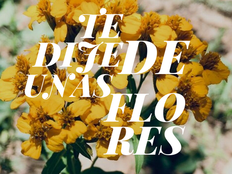 Te dije de unas flores