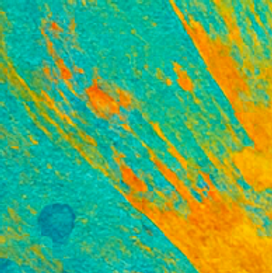 ChatGPT Image 21 жовт. 2025 р., 19_48_32.png