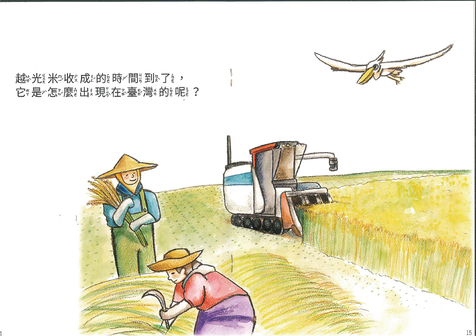 富饒09.png