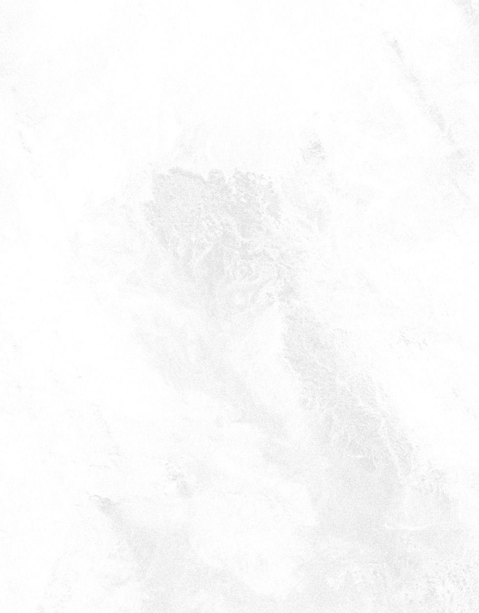 White Background_edited.jpg