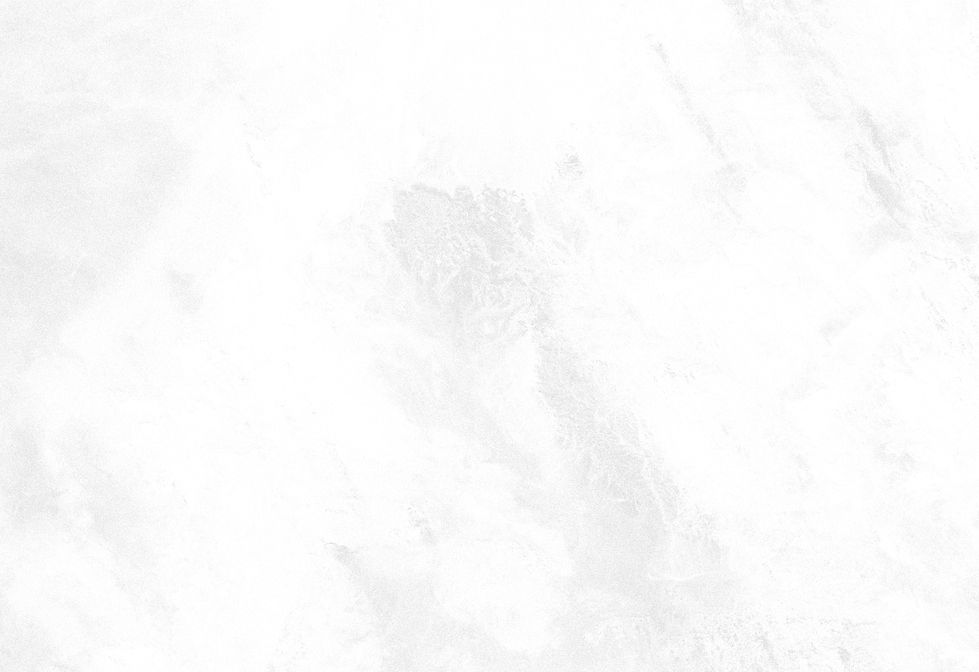 White Background_edited.jpg