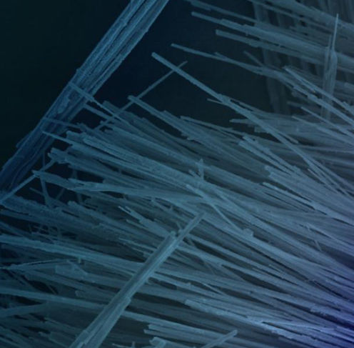 5_page-0001 (1)_edited.jpg