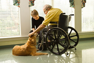 Therapy Dog Training in Nursing Care Facility