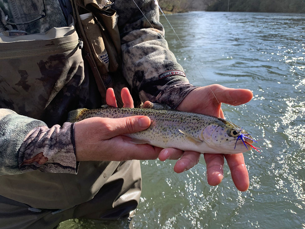 Thumbnail: The "Patriot" 1/64oz jig