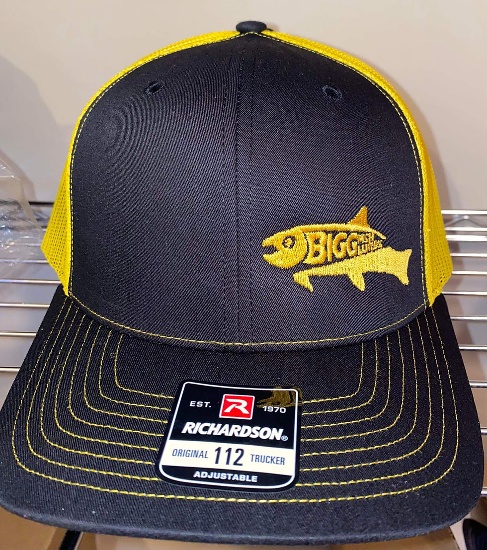 Thumbnail: BiggFish Lures embroidered hat