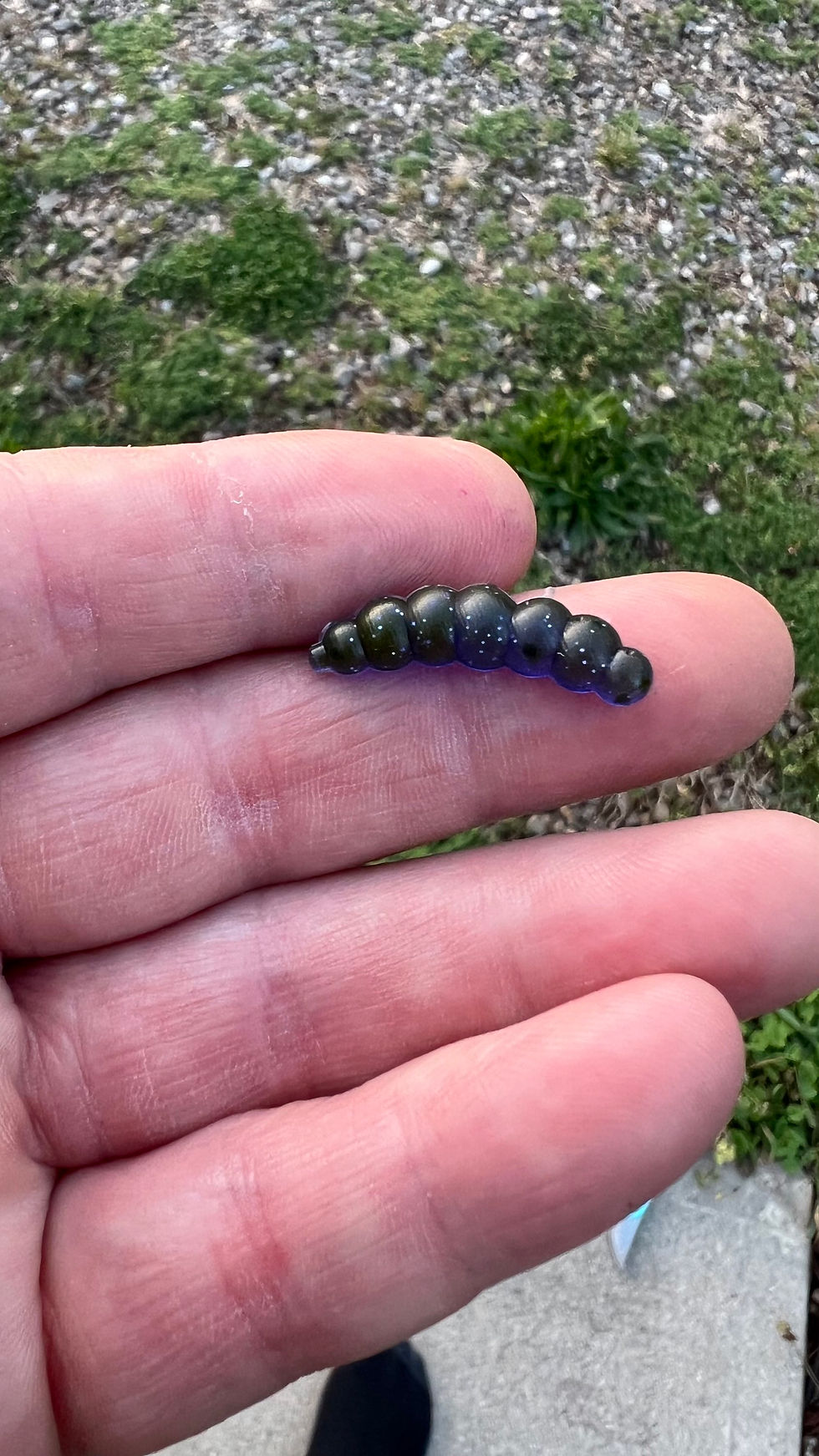 Thumbnail: Trout Reaper Grubb (6pk)
