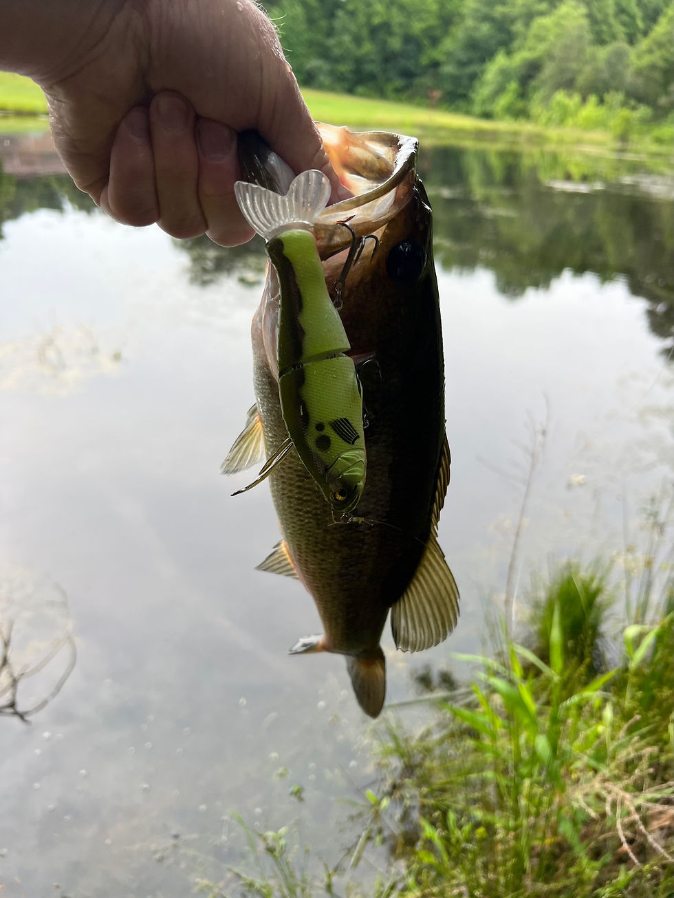 Thumbnail: 5.5” Soft Tail Glide Bait