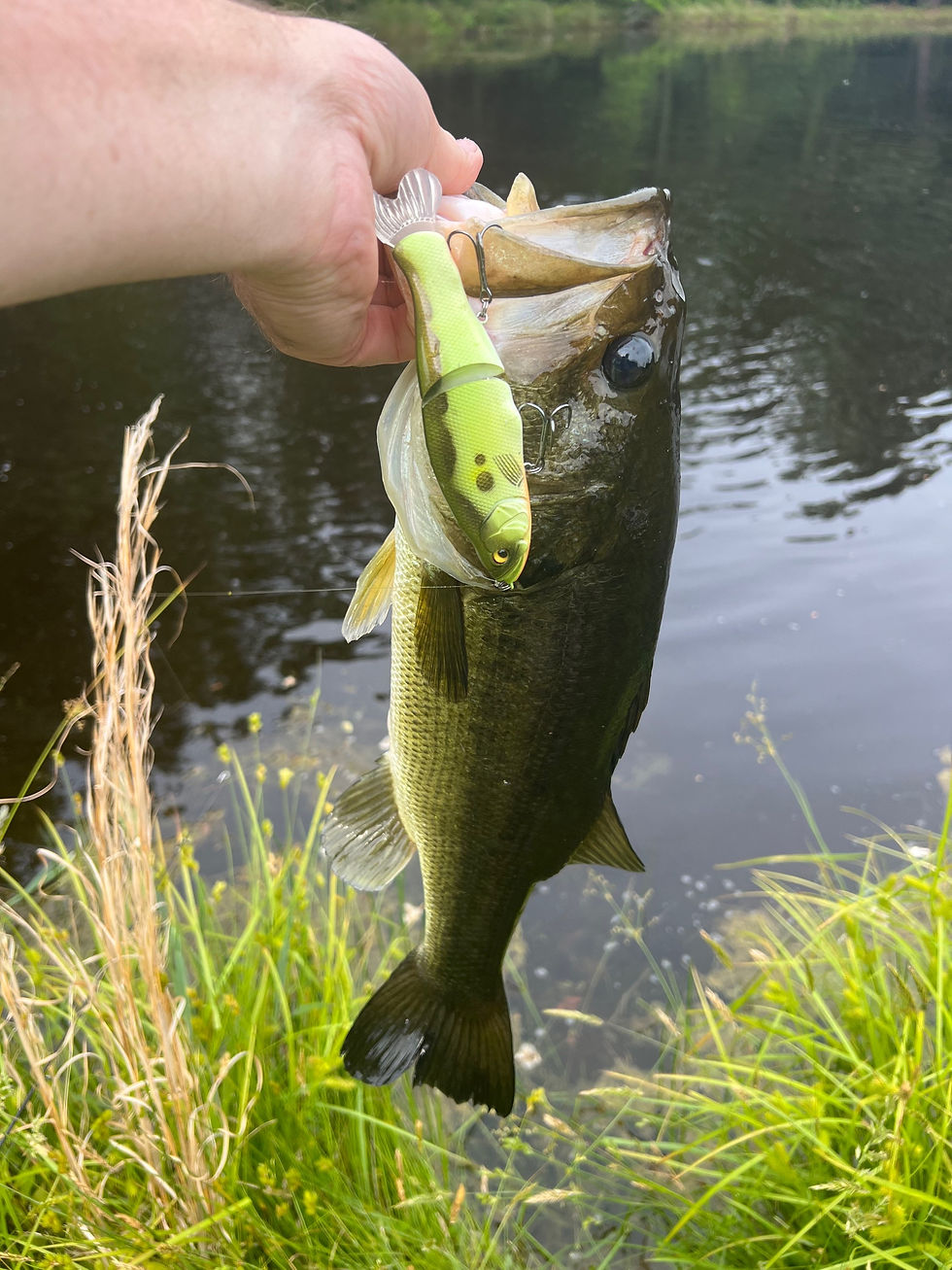 Thumbnail: 5.5” Soft Tail Glide Bait