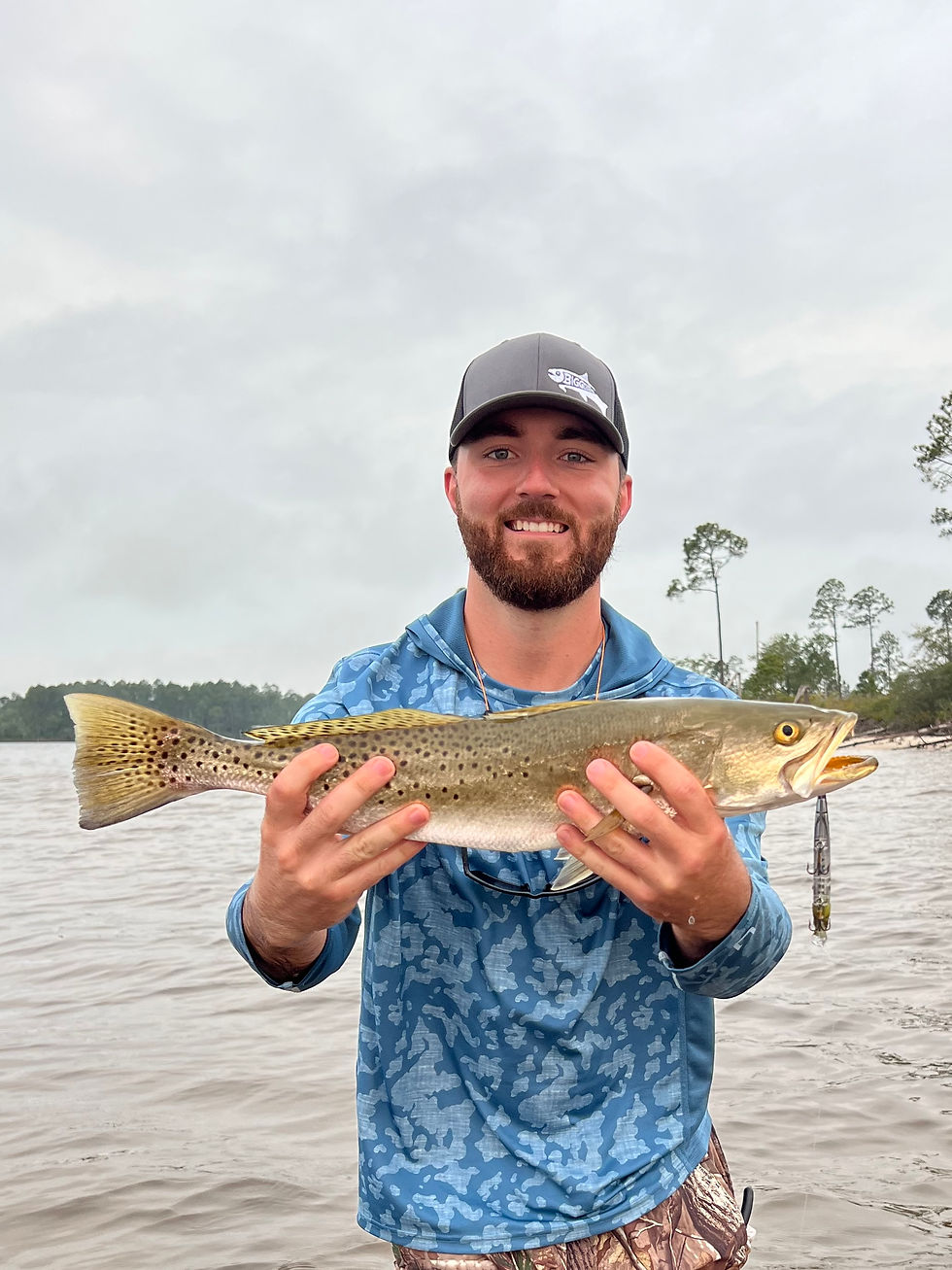 Thumbnail: 110 Black/Gold Ghost Shad
