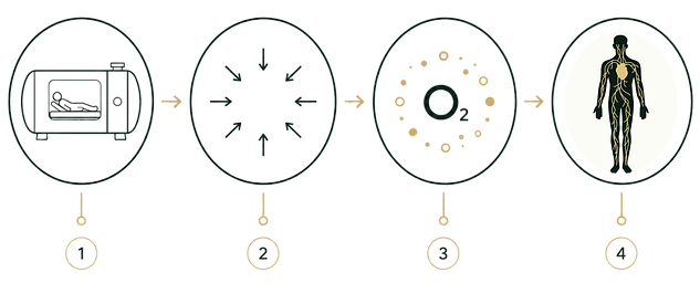 Copy of Renume Wellness TV Screens (18).png