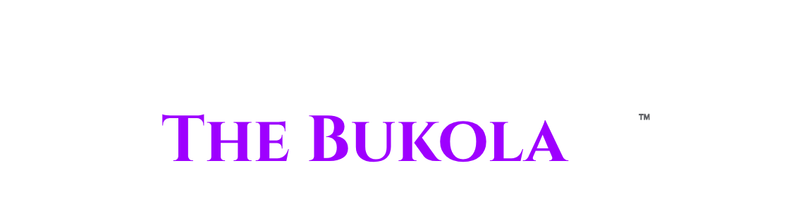 The Bukola Prject.png