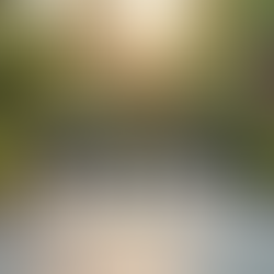 Latest Home and Garden Deals for Savvy Shoppers