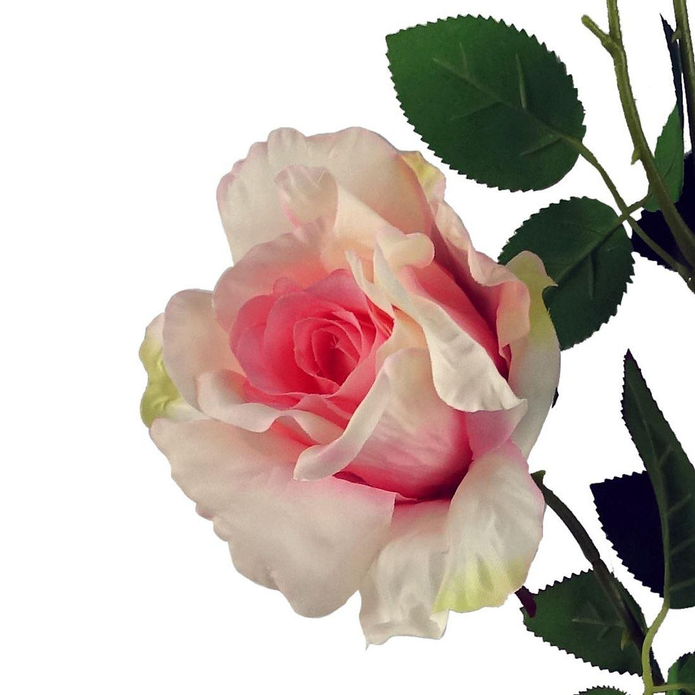 Thumbnail: Elegant 80cm Artificial Pink Rose Stem with 3 Silk Flowers ? Perfect for Floral