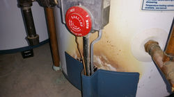 Past life expectancy