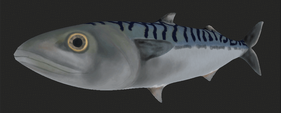 fish_maps.gif