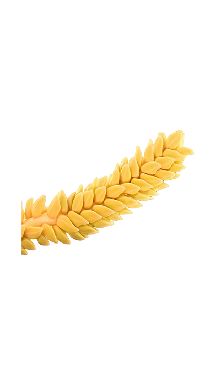 Coconut flower