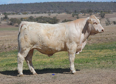 Lot 37a W14.jpg