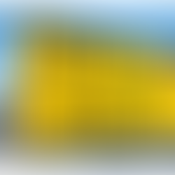 The Downside of Strict Planning