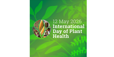 International Day of Plant Health 2026 — plant biosecurity and IP law — Baldwin IP