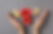 Hands cupping an arrangement of pink, red, and yellow flowers on a gray background, resembling a butterfly shape. Elegant and serene mood.