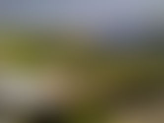 Montmagny, la Capitale de l’Oie Blanche.