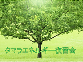 タマラエネルギー復習会.tif
