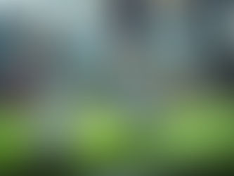 Mejorando el Rendimiento en el Fútbol