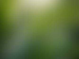 手相学入門: あなたの未来を読み解く