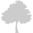 arbol_edited.png