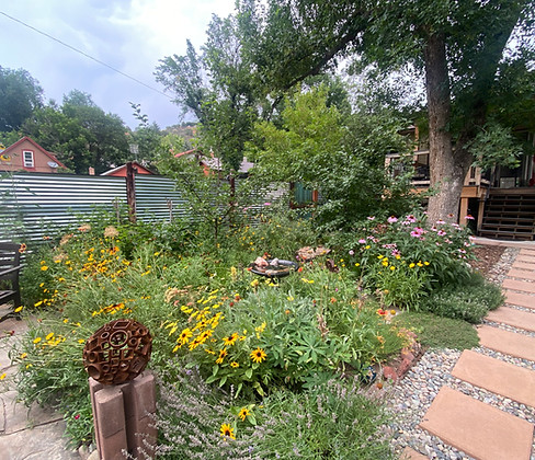 Food forest permaculture garden Southwest Durango Colorado regenerative permaculture garden sufficiency