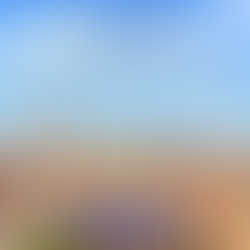 聖方濟禧年 宗座聖赦院全大赦法令