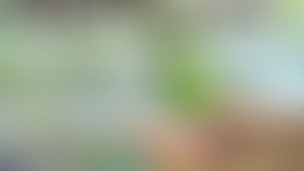 2026四旬期生命靈修退省 在生命之初，天主已經深愛了你